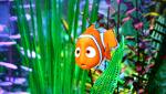 real-estate-nemo-economy