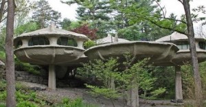 Mushroom house