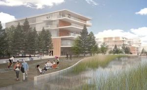 Suburban offices