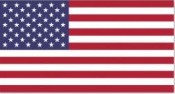 American Flag Boston